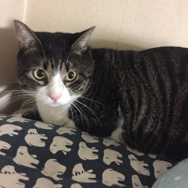 347efd90 c8df 4bb6 954e 052814cebe08