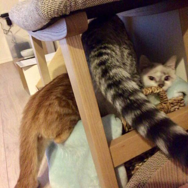 347f30a5 7392 4e46 ae17 4c52d8384927