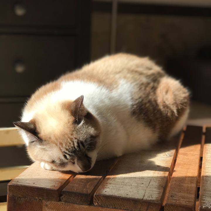 347fd35a 5d4b 498f b269 75ffe1bd9b87