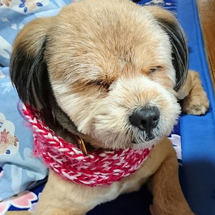 347fea61 0958 4e4c 9b3b 6b4d6544ed54