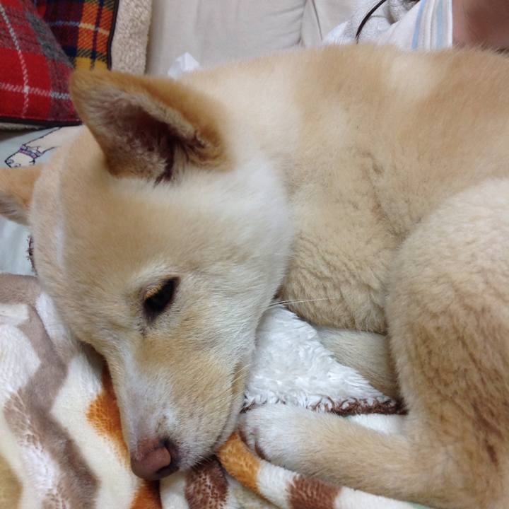 3480b03b 5bbf 4869 ad52 cfb07f8584e7