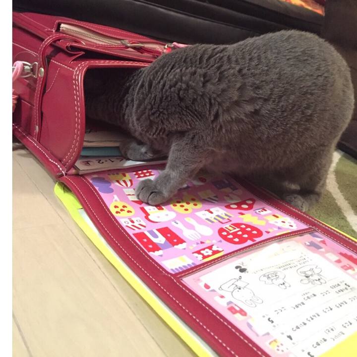 3481df5a 8698 4a41 92cf c40f7bdd8ea3