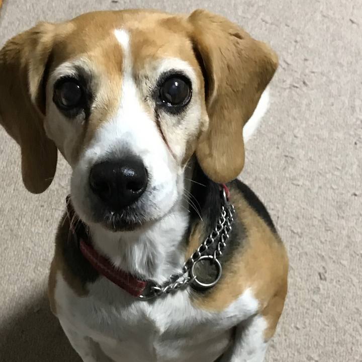 348220a0 391d 4587 a12f 05264c69e355