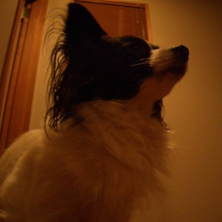 348284ef 8b22 4595 b2e4 72823f655c8c