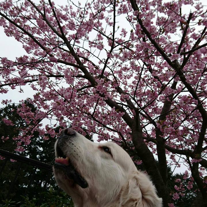 3482bbcd c4c5 4eff b70f d2f8d9d29135