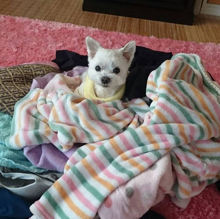 34830a51 3e37 4f93 ba14 31f84553a240