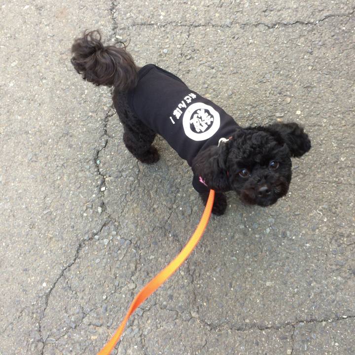 34832019 f8a8 494d a26a d4e034858b33