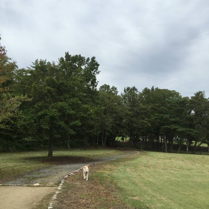 34833499 3029 4525 8613 c794b2d4934d