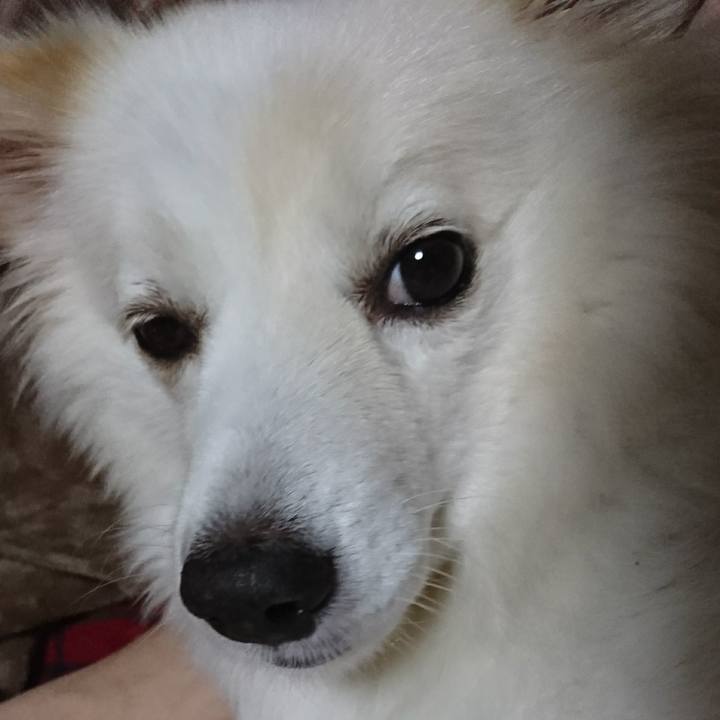 3483beb9 f01b 43c3 8f76 ee9ab0e8b616