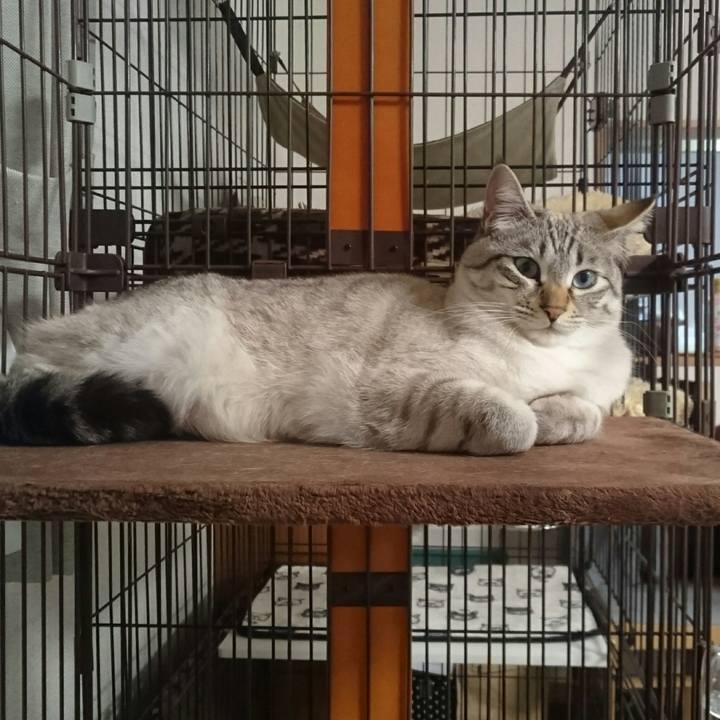 3483dc14 e236 405f aca1 f45f0d0acac4