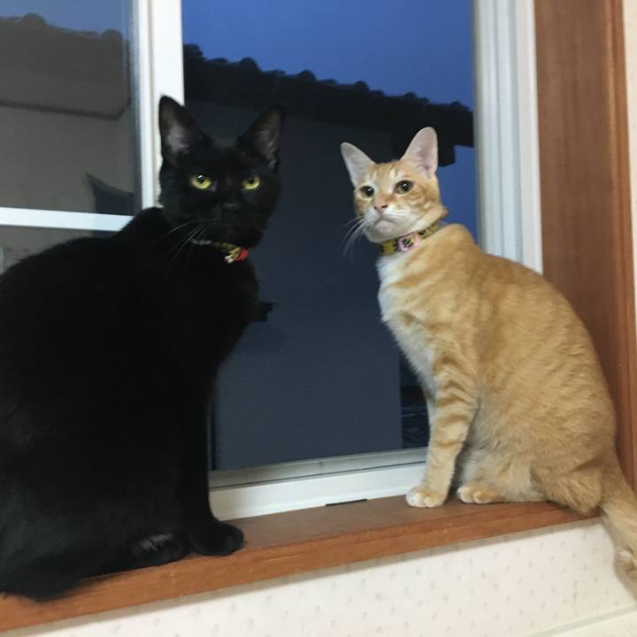 34842f10 d109 4c6c 91cc adf57cd1b0d4