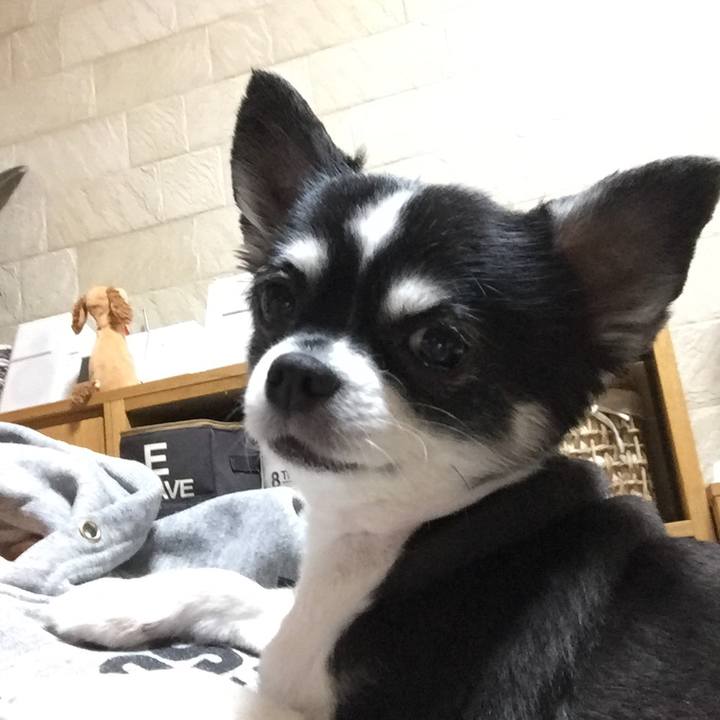 34843ba3 22dd 43b0 98d9 f7a2a96970e6