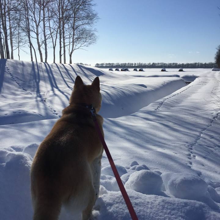 34845dac 8ba6 47b6 9048 addb13c62297