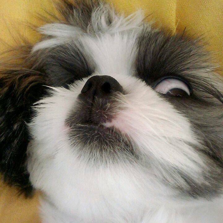 34846d51 969d 4848 a581 728ab5a7b678