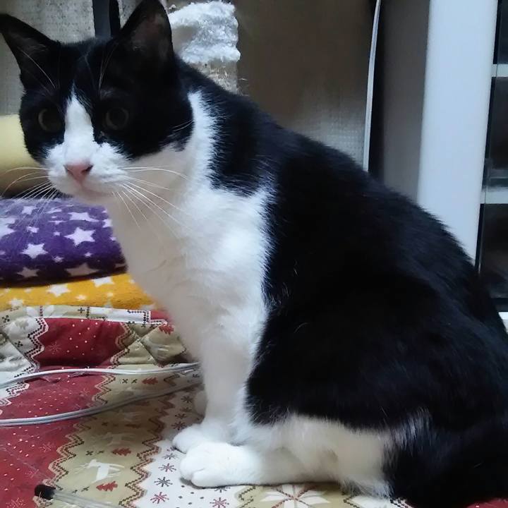 348491e8 3c5f 4156 a2d2 ad9491bcda07