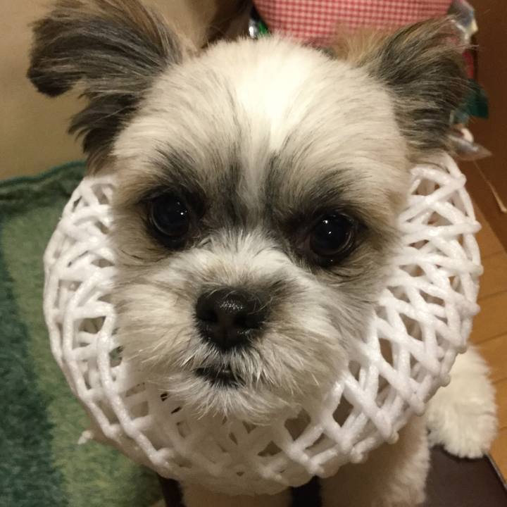 3484ad98 0399 41ce 8e2b 1d08054b058b