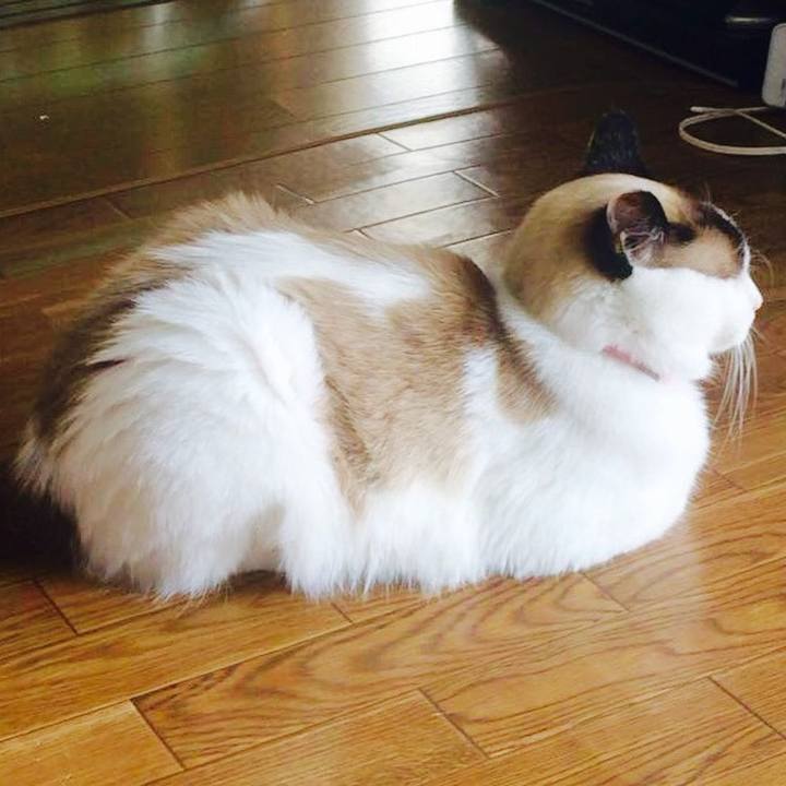 3484d1f3 4185 44d5 9d75 fca8c9aa2393