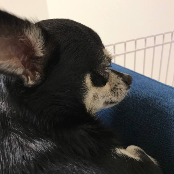 3485da73 81de 4cfd ad48 5e0310c141a4