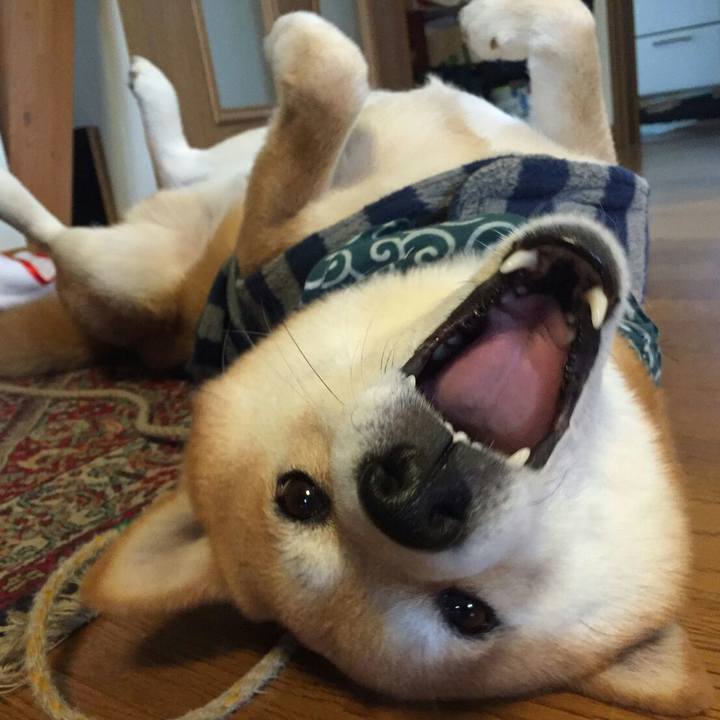 3486e819 f23b 4222 86b9 66c2ae93fa9f