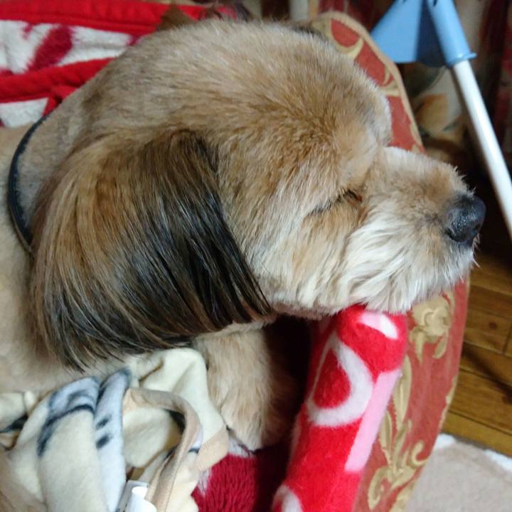 3486f9b0 b23d 4f7b 90b6 cb901696de44