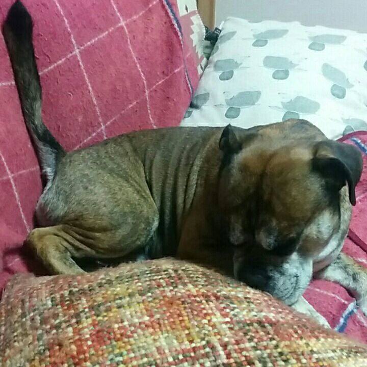 3487188e b324 4c62 a498 849492c78df1