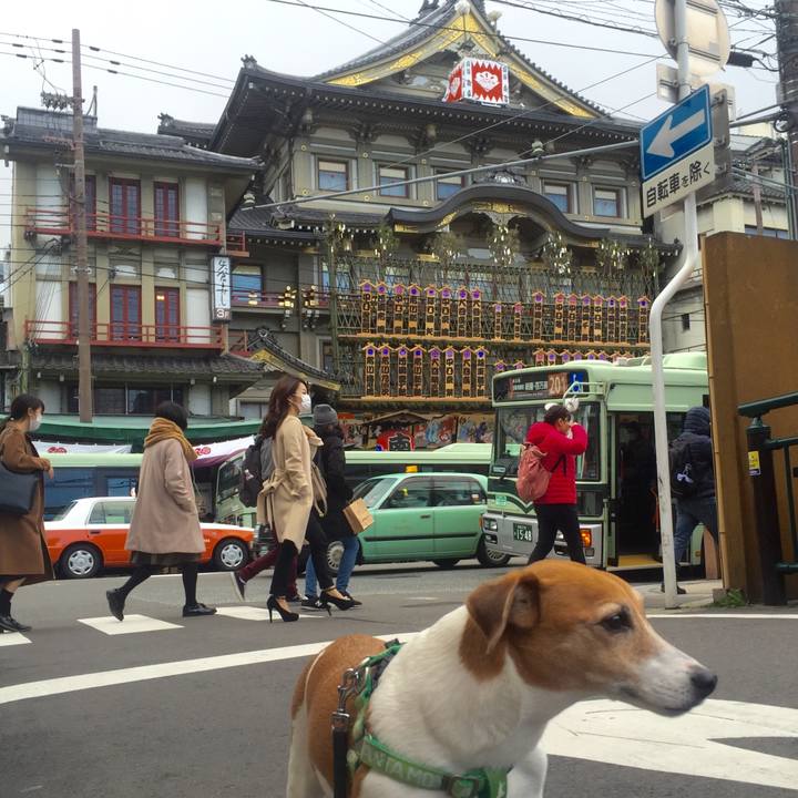 3487b6ad 06d5 4f0b aeb4 e271728f16ed