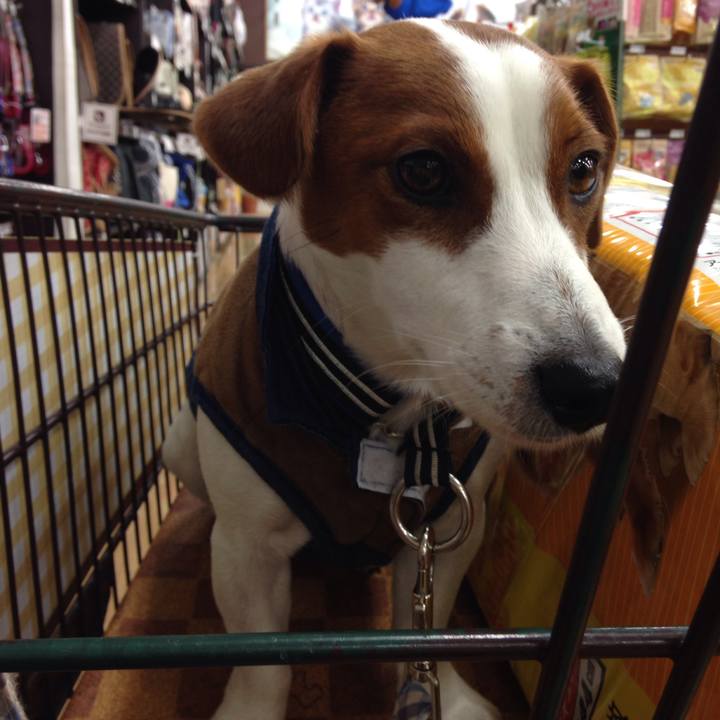 3487c683 0342 4618 bdc7 84cec4a24ec9