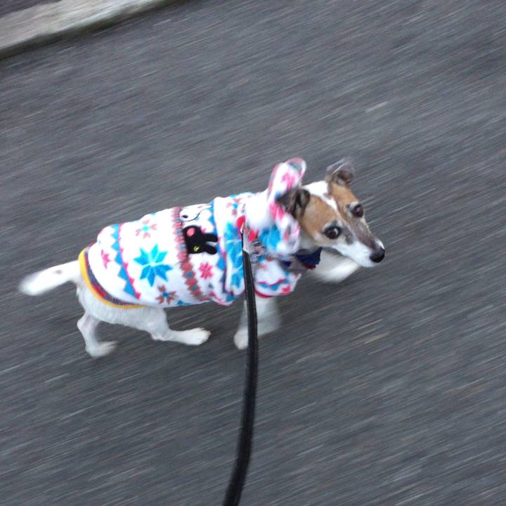 3488523d 5c38 4c13 98de ca06bec88a30