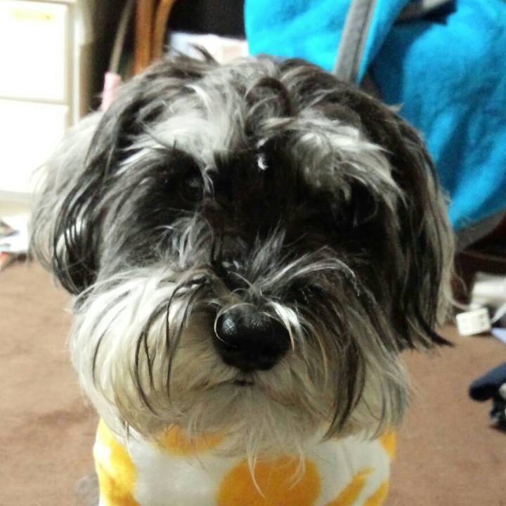 34885c4c 0b77 4e17 b4c0 2f31b82db106