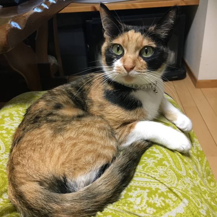 3488d18b fb24 4235 80c4 75df15e0ce51