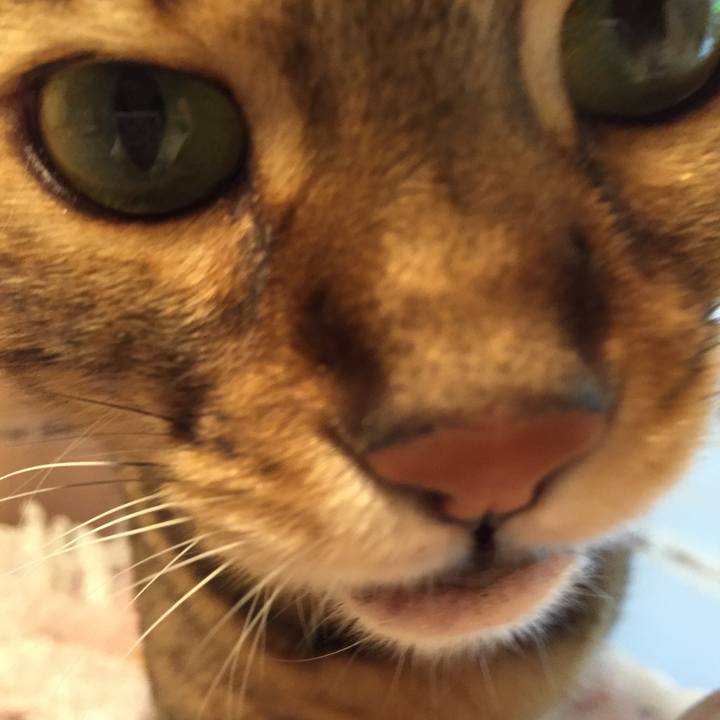 3488e89c 3c7c 48b0 b844 b83208bc20db