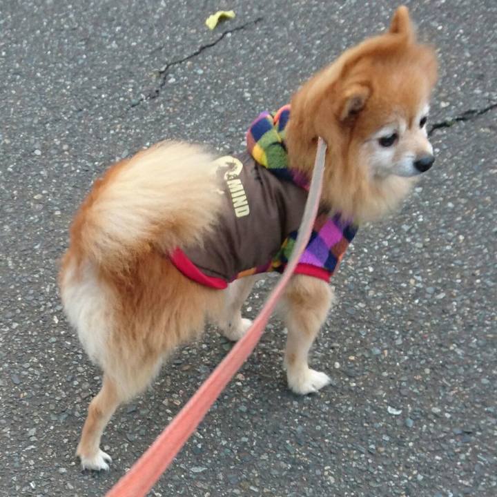 34893eeb b630 4f38 a2b4 c296823ead6f