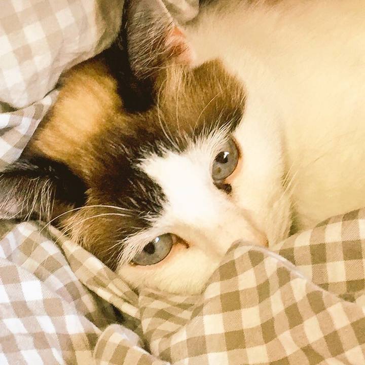 34898c26 331b 4d38 bde1 75ac64e2ffb9