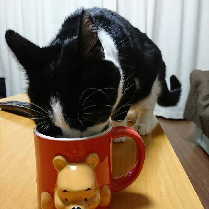 348a1acf 5065 49e5 959e ab692a053399