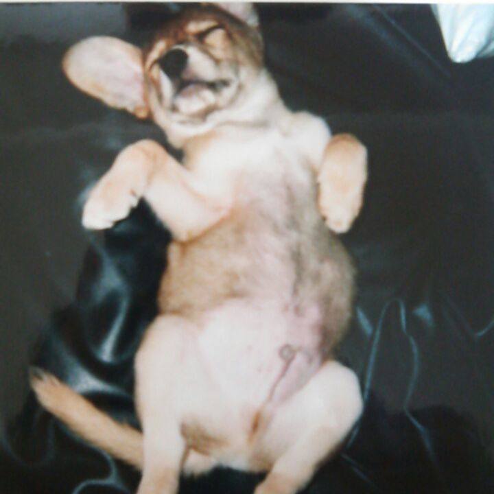 348a2586 8d81 4cd0 a23b 97a3f6cf5316