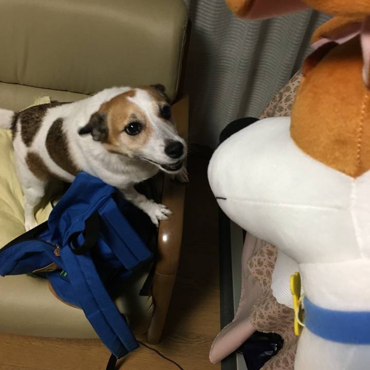 348ad752 6f78 4839 ac0d c523d52b3f49