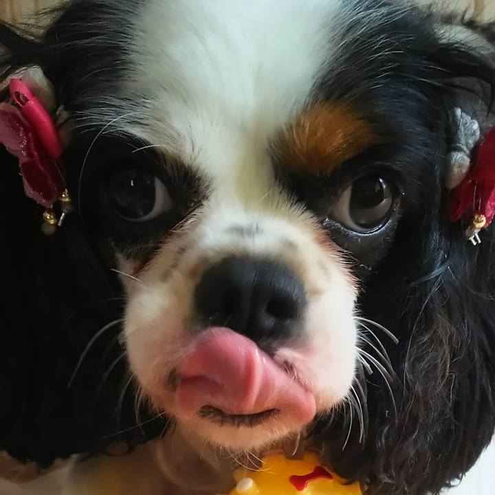 348af859 4e52 4307 8e92 2522477b732c