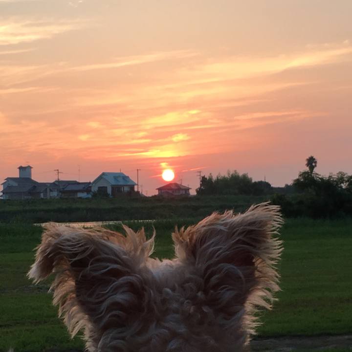 348b1539 781b 48e3 a125 6dcc70bed1f6