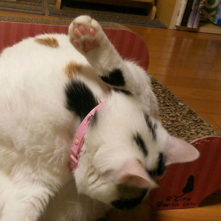 348b25d5 8288 4f6e bf7c 471d9962c5fc