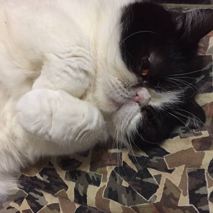 348c57b7 e202 45f8 afbd 3626df89e972