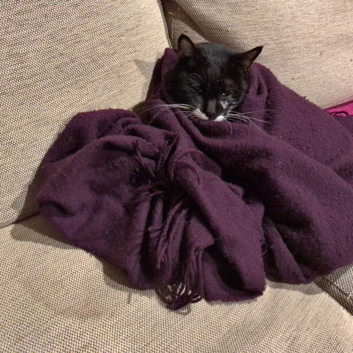 348dc5dd 2acc 49b2 836a 1c0b1c2e634a