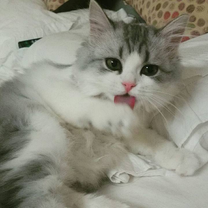 348eb1cf 47b7 4993 be27 145aadc50b2a