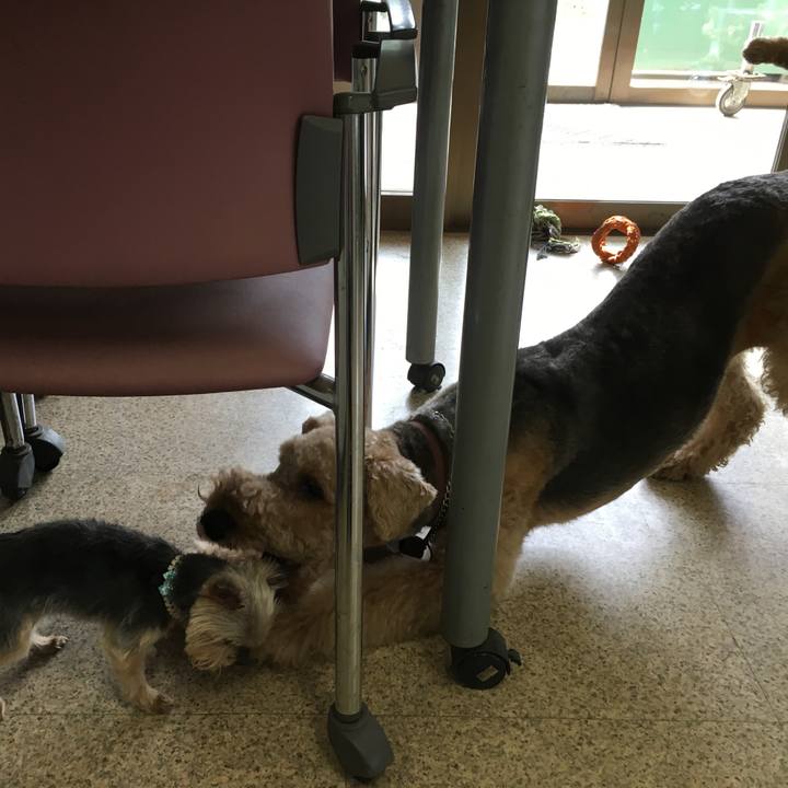 348ee8ab dc2a 466c a4f9 9f1e3d2e327b