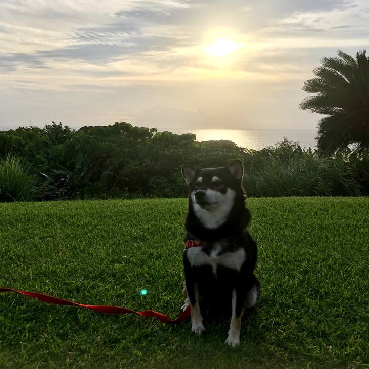 348ef671 18c1 42e9 b068 27ea9708bbda