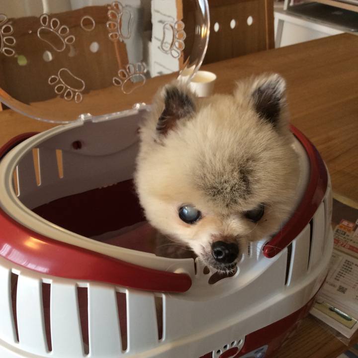 348f7c22 8d71 483b 8197 753cf9d106c0