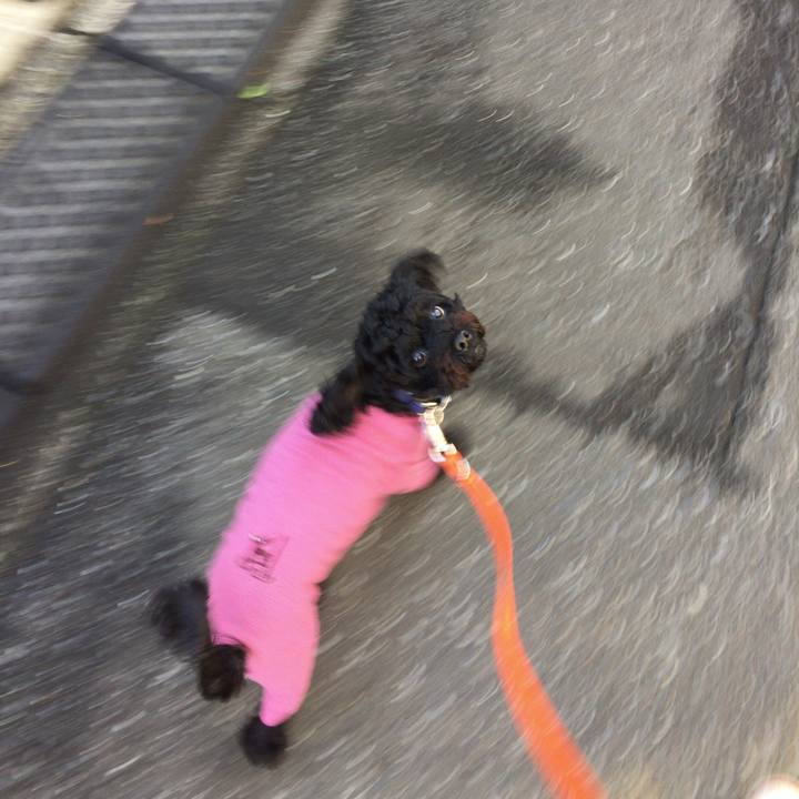 348f7f3e 8bf7 4a85 9793 9a769b4f5d0b