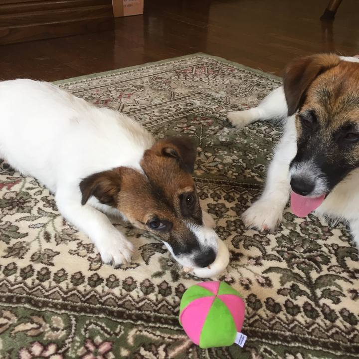 348fe869 d770 4055 8e22 fbea2ba393d8