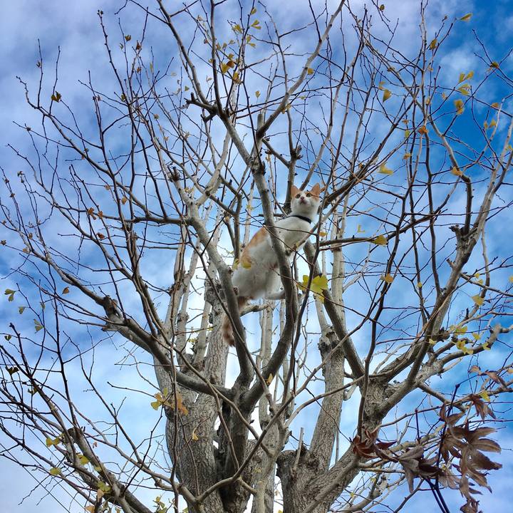 348ff58f 4937 4e2c a643 191d7646b114