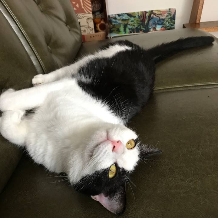 34903168 08ef 4805 a107 5b6ebea6f4b6