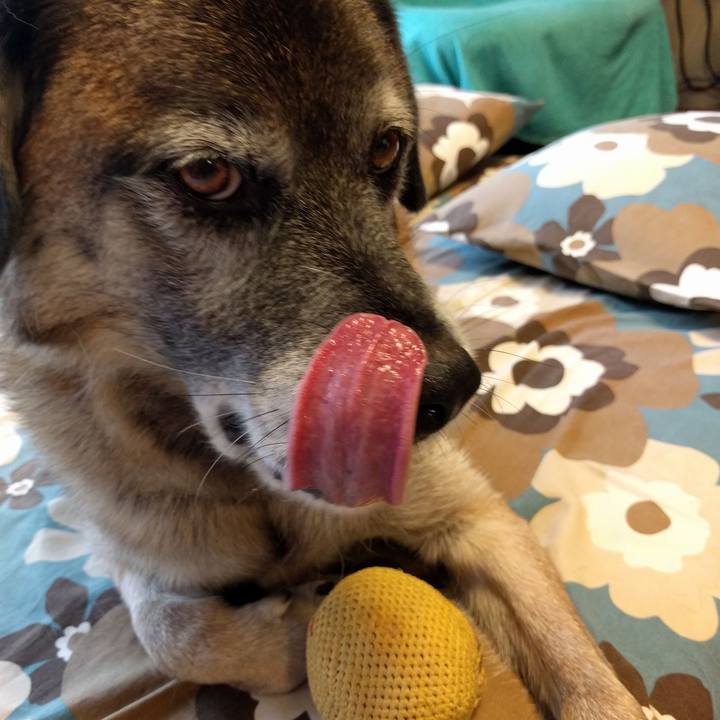 3490943a 1ac7 4725 ad4b a0391efa679d